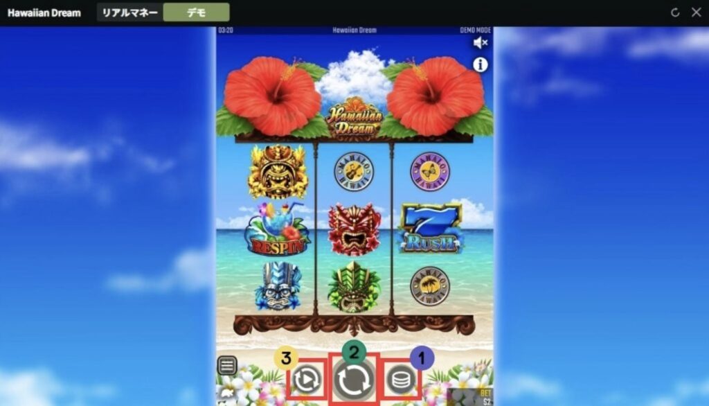 ハワイアンドリーム 遊び方